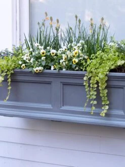Fairfield Self-Watering Window Box, 3’ -Garden Tools Sales Store 39 344 9360 tif