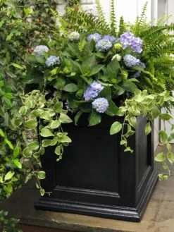 Fairfield Self-Watering Square Planter, 20” X 20” 11 Fairfield Self-Watering Square Planter, 20” X 20” -Garden Tools Sales Store 39 618 205V tif