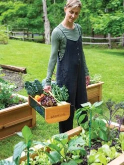 Garden Hods 9 Garden Hods -Garden Tools Sales Store 39 761 0146 tif