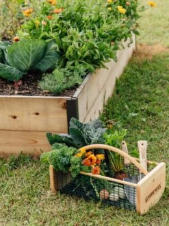 Garden Hods 8 Garden Hods -Garden Tools Sales Store 39 761 572 tif