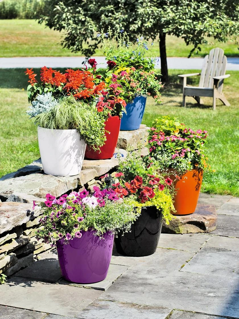 Viva Round Self-Watering Rolling Planter, 14" Diameter 1 Viva Round Self-Watering Rolling Planter, 14" Diameter