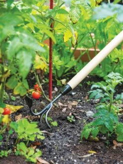 Gardener's Lifetime Long-Handled Double Tool -Garden Tools Sales Store 3 4 crop 8592107 2460 tif