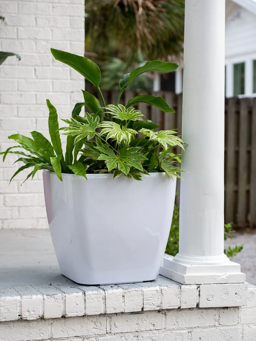 Viva Square Self-Watering Rolling Planter, 20" Diameter, Set Of 2 5 Viva Square Self-Watering Rolling Planter, 20" Diameter, Set Of 2 - Image 5