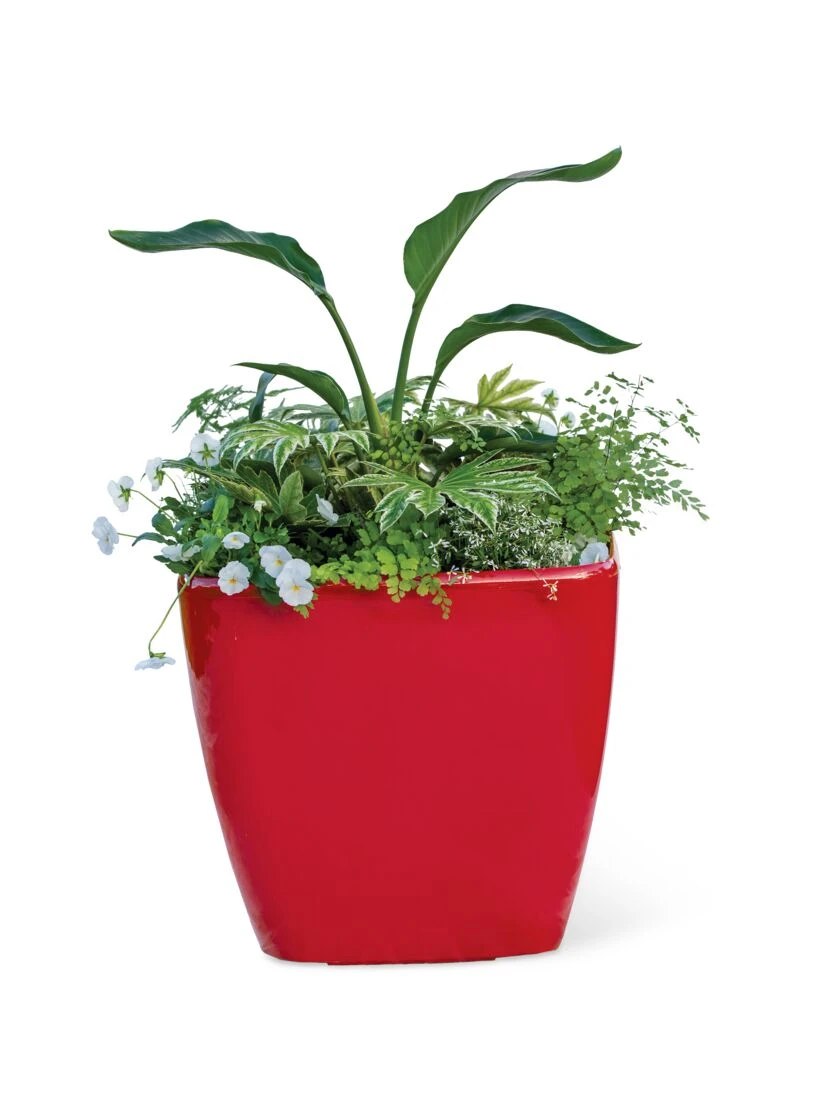 Viva Square Self-Watering Rolling Planter, 20" Diameter, Set Of 2 6 Viva Square Self-Watering Rolling Planter, 20" Diameter, Set Of 2 - Image 6