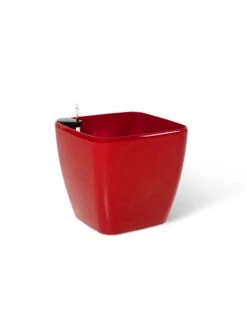Viva Square Self-Watering Rolling Planter, 20" Diameter, Set Of 2 25 Viva Square Self-Watering Rolling Planter, 20" Diameter, Set Of 2 -Garden Tools Sales Store 3 4 crop 8612930 0105