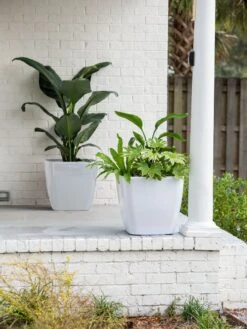 Viva Square Self-Watering Rolling Planter, 20" Diameter, Set Of 2 14 Viva Square Self-Watering Rolling Planter, 20" Diameter, Set Of 2 -Garden Tools Sales Store 3 4 crop 8612930 10031