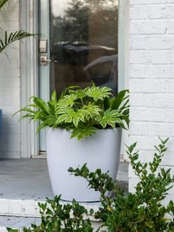 Viva Round Self-Watering Rolling Planter, 20" Diameter, Set Of 2 15 Viva Round Self-Watering Rolling Planter, 20" Diameter, Set Of 2 -Garden Tools Sales Store 3 4 crop 8612933 0025 tif