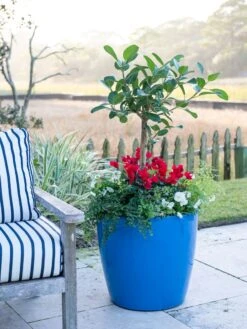 Viva Round Self-Watering Rolling Planter, 20" Diameter, Set Of 2 16 Viva Round Self-Watering Rolling Planter, 20" Diameter, Set Of 2 -Garden Tools Sales Store 3 4 crop 8612933 5312 tif