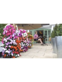 Front Page -Garden Tools Sales Store 3 4 crop 8613624 04V