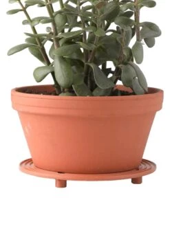 5" SurfaceSaver® , Set Of 2 4 5" SurfaceSaver® , Set Of 2 -Garden Tools Sales Store 8586907 014 tif