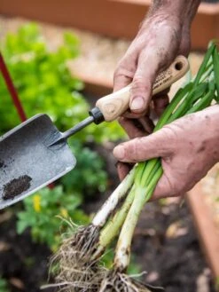 Gardener's Lifetime Trowel -Garden Tools Sales Store 8586972 3286 tif