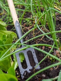 Gardener's Lifetime Spork -Garden Tools Sales Store 8586973 2383 tif