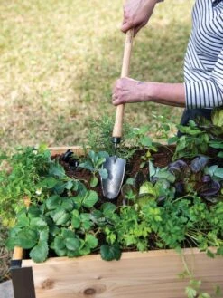 Gardener's Lifetime Raised Bed Trowel -Garden Tools Sales Store 8588014 4084 tif