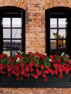 Fairfield Self-Watering Window Box, 5’ 12 Fairfield Self-Watering Window Box, 5’ -Garden Tools Sales Store 8588938 102V tif