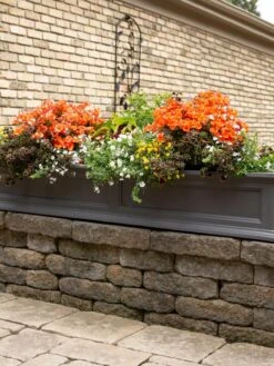 Fairfield Self-Watering Window Box, 5’ 13 Fairfield Self-Watering Window Box, 5’ -Garden Tools Sales Store 8588938 105V tif