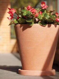 Universal Round Planter Saucers -Garden Tools Sales Store 8589526 001V tif