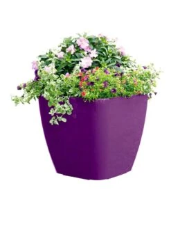 Viva Square Self-Watering Rolling Planter, 17.5" Diameter -Garden Tools Sales Store 8589778PR 6126 tif