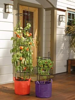 Gardener's Best® Tomato Grow Bag Set -Garden Tools Sales Store 8590013 170 tif