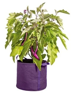 Gardener's Best® Universal Grow Bag 10 Gardener's Best® Universal Grow Bag -Garden Tools Sales Store 8590024PR 214 tif