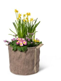 Gardener's Best® Universal Grow Bag 13 Gardener's Best® Universal Grow Bag -Garden Tools Sales Store 8590024 7307 tif