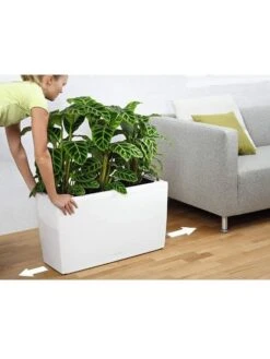 Lechuza® Cararo Rectangular Indoor Planter With Casters -Garden Tools Sales Store 8590295 03v