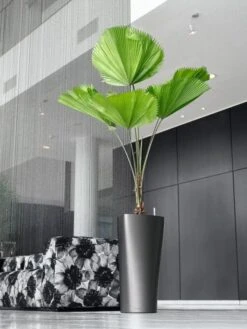 Lechuza® Delta Premium Self-Watering Planters 11 Lechuza® Delta Premium Self-Watering Planters -Garden Tools Sales Store 8590299 02V tif