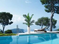 Lechuza® Delta Premium Self-Watering Planters 10 Lechuza® Delta Premium Self-Watering Planters -Garden Tools Sales Store 8590299 04V tif