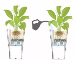 Lechuza® Delta Premium Self-Watering Planters 9 Lechuza® Delta Premium Self-Watering Planters -Garden Tools Sales Store 8590299 07V tif