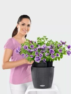 Lechuza® Nido Cottage Wicker Hanging Planter 6 Lechuza® Nido Cottage Wicker Hanging Planter -Garden Tools Sales Store 8591154GT 006V tif