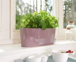 Lechuza® Delta Self-Watering Windowsill Planters 12 Lechuza® Delta Self-Watering Windowsill Planters -Garden Tools Sales Store 8592361 01V tif