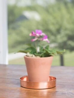 Extra Small Round Copper Plant Tray, 8" -Garden Tools Sales Store 8593528 4522 tif