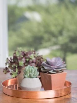 Large Round Copper Plant Tray, 14" 11 Large Round Copper Plant Tray, 14" -Garden Tools Sales Store 8593531 4518 tif