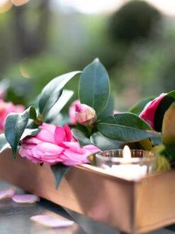 Rectangular Copper Plant Tray, 18"x4" -Garden Tools Sales Store 8593532 02IN tif