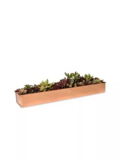 Rectangular Copper Plant Tray, 18"x4" -Garden Tools Sales Store 8593532 2892 tif