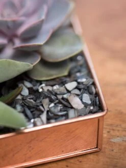 Rectangular Copper Plant Tray, 24" X 5" -Garden Tools Sales Store 8593533 4570 tif