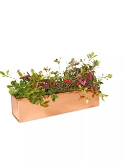 Tall Rectangular Copper Plant Tray, 18" X 5" X 4" 8 Tall Rectangular Copper Plant Tray, 18" X 5" X 4" -Garden Tools Sales Store 8593534 2899 tif