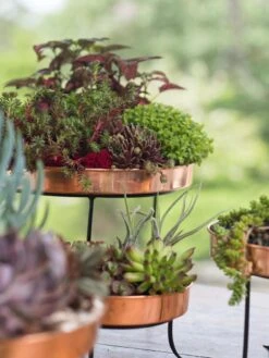 Small Round Copper Plant Tray, 10" -Garden Tools Sales Store 8593564 4399 tif