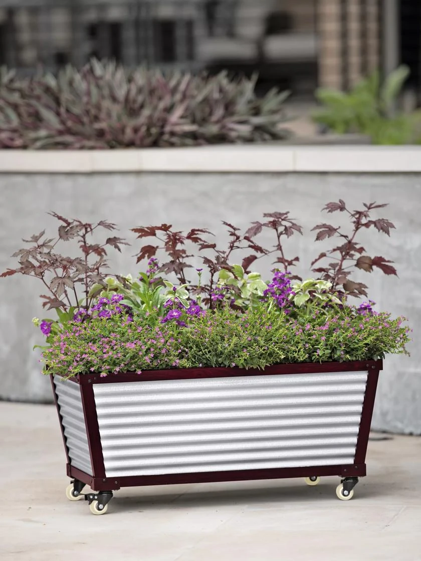 Short Galvanized Self-Watering Trough Planter 1 Short Galvanized Self-Watering Trough Planter