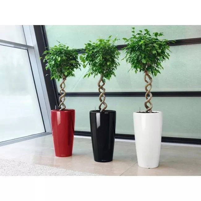 Lechuza® Rondo Self-Watering Planters 1 Lechuza® Rondo Self-Watering Planters