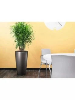 Lechuza® Rondo Self-Watering Planters 6 Lechuza® Rondo Self-Watering Planters -Garden Tools Sales Store 8594586 02V tif