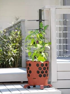 Gardener's Revolution® Tomato Planter -Garden Tools Sales Store 8594743 2618 tif
