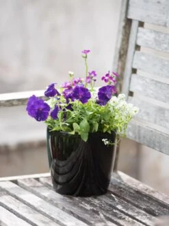 Viva Round Self-Watering Planter, 7" Diameter -Garden Tools Sales Store 8595222 1140 tif