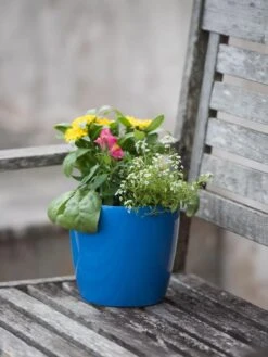 Viva Round Self-Watering Planter, 7" Diameter -Garden Tools Sales Store 8595222 1143 tif