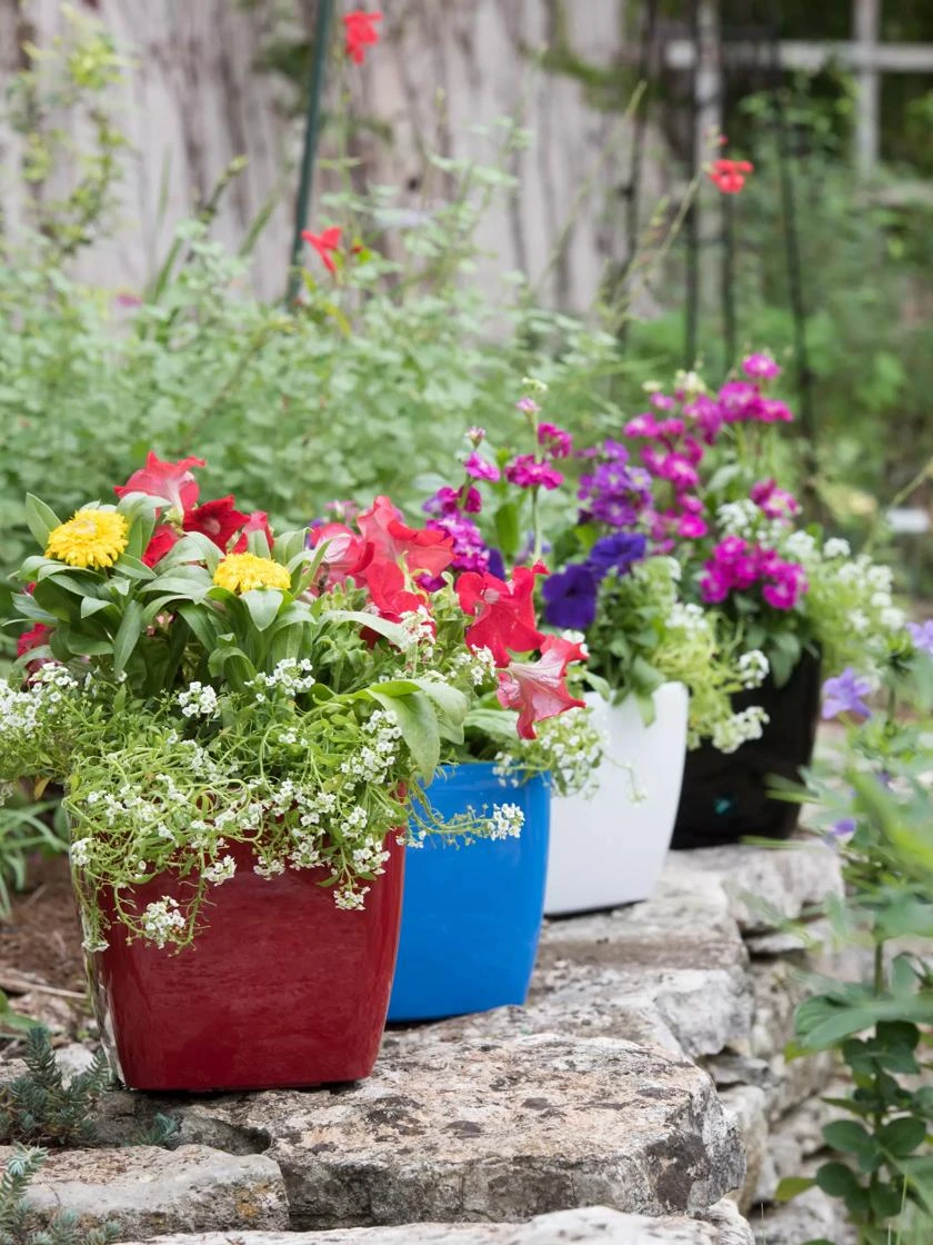 Viva Square Self-Watering Planter, 7" Diameter 2 Viva Square Self-Watering Planter, 7" Diameter - Image 2