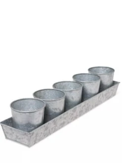 Galvanized Herb Planters With Rectangular Tray -Garden Tools Sales Store 8595903 3924 tif