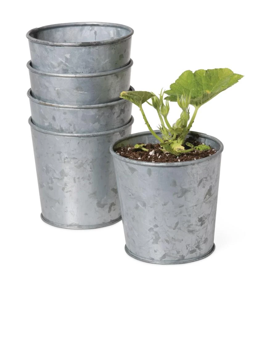 Galvanized Planting Cups, Set Of 5 1 Galvanized Planting Cups, Set Of 5