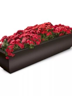 Valencia Window Box, 4'