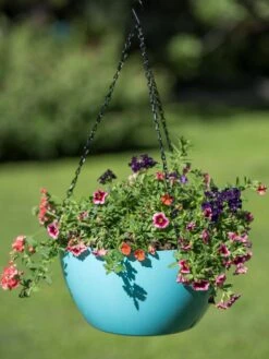 Viva Self-Watering Hanging Basket, 14" Diameter -Garden Tools Sales Store 8596442 0859 tif