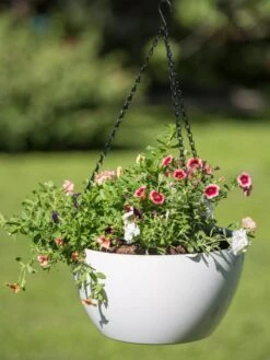 Viva Self-Watering Hanging Basket, 14" Diameter -Garden Tools Sales Store 8596442 0864 tif