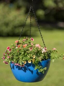 Viva Self-Watering Hanging Basket, 14" Diameter -Garden Tools Sales Store 8596442 0876 tif